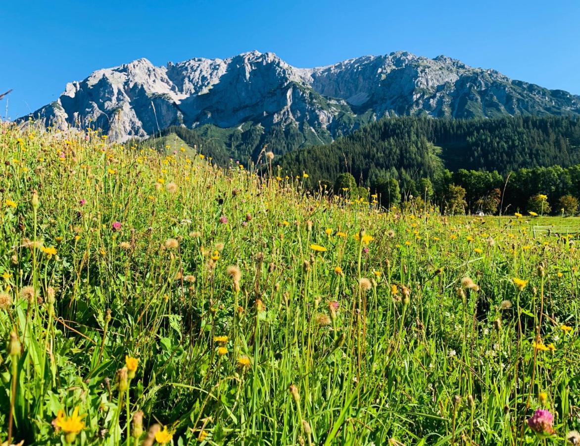 Bergkristallhaus Ramsau am Dachstein Dış mekan fotoğraf