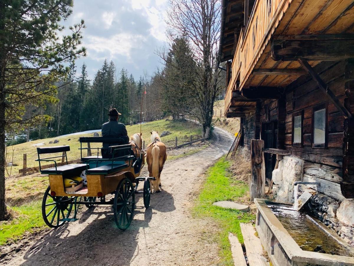 Bergkristallhaus Ramsau am Dachstein Dış mekan fotoğraf