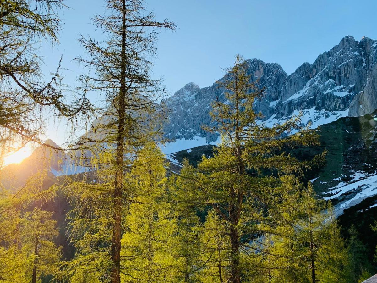 Bergkristallhaus Ramsau am Dachstein Dış mekan fotoğraf