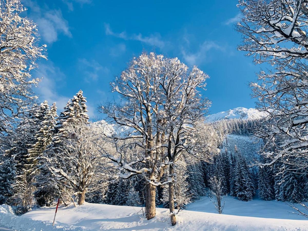 Bergkristallhaus Ramsau am Dachstein Dış mekan fotoğraf